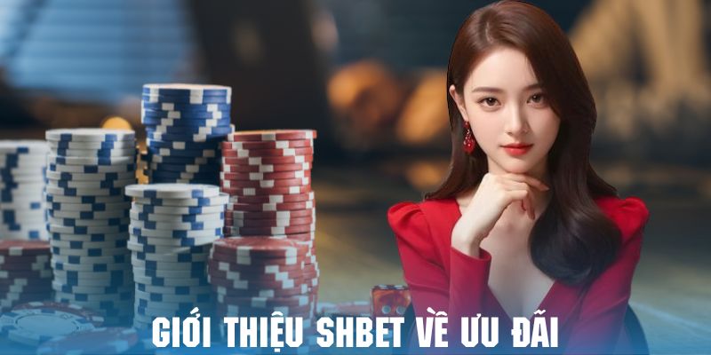 Khám phá chuyên mục giới thiệu cùng với những ưu đãi độc quyền
